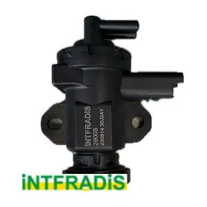 29005 INTFRADIS
