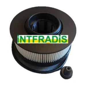 1011225 INTFRADIS