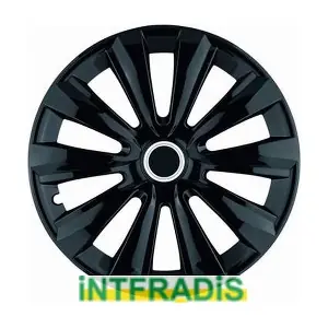 41016 INTFRADIS