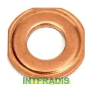 10167 INTFRADIS