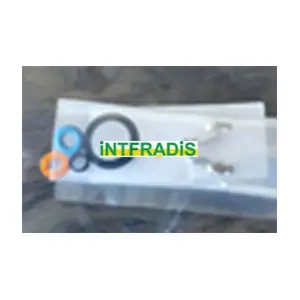 24010 INTFRADIS