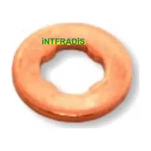 INTFRADIS 10198