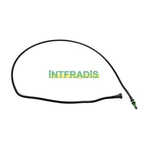 10273 INTFRADIS