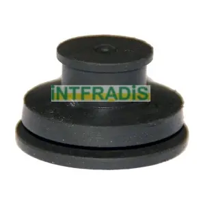 1992 INTFRADIS