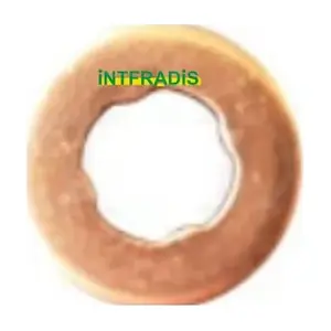 INTFRADIS 10490