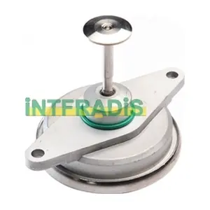 25561 INTFRADIS