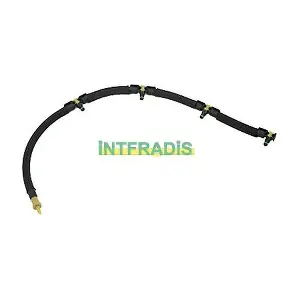 10279 INTFRADIS