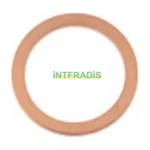 10486 INTFRADIS