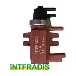 29000 INTFRADIS