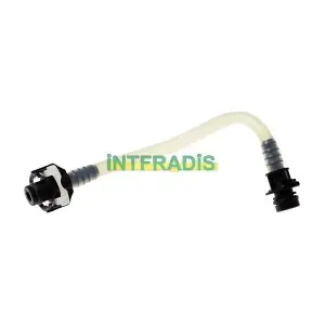 INTFRADIS 10289