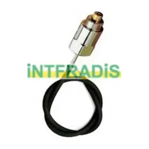 10061BL INTFRADIS