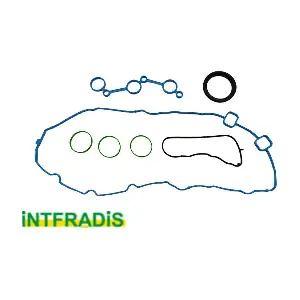 60000 INTFRADIS