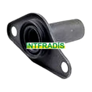 2470 INTFRADIS