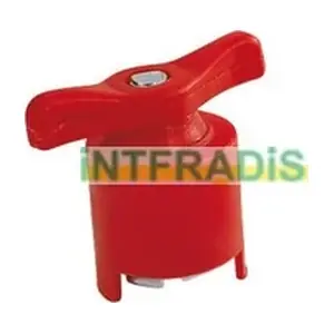 941 INTFRADIS