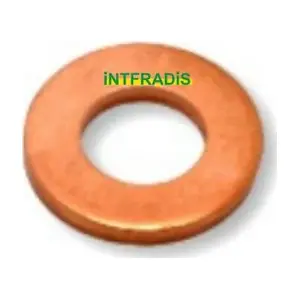 10176 INTFRADIS