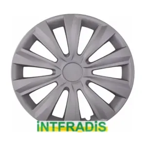 41010 INTFRADIS