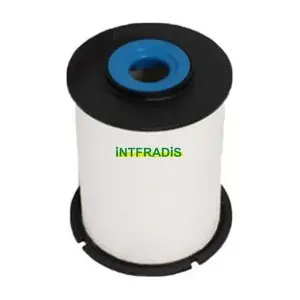 101204 INTFRADIS