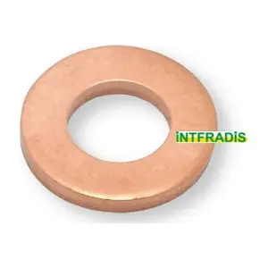 10489 INTFRADIS
