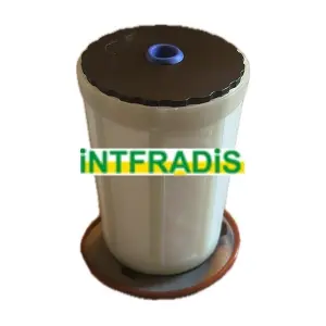 1011222 INTFRADIS