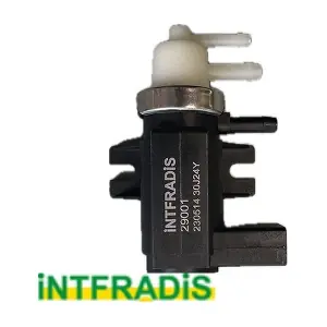 29001 INTFRADIS