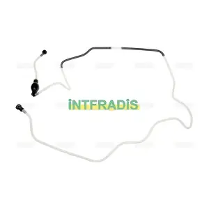 102100 INTFRADIS