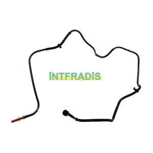 10272 INTFRADIS