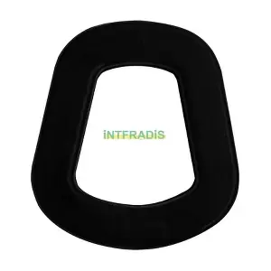 640 INTFRADIS
