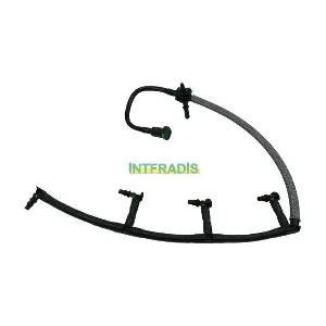 10265 INTFRADIS