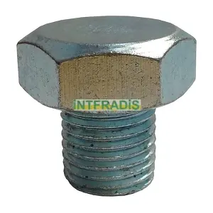 295 INTFRADIS