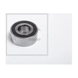 25004900A PE Automotive