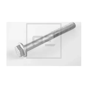 013.723-00A PE Automotive