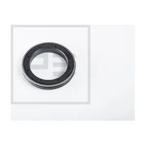 100.434-00A PE Automotive