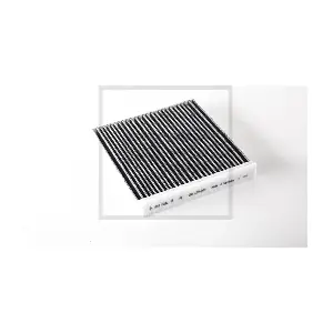 250.209-00A PE Automotive