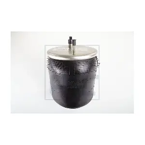 084.493-74A PE Automotive