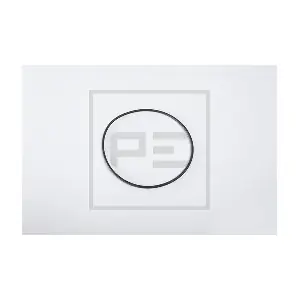 066.176-00A PE Automotive