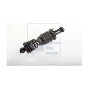 143.263-10A PE Automotive