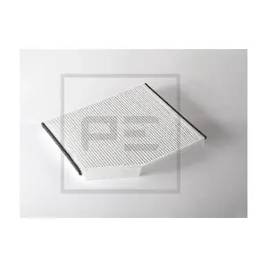 110.001-00A PE Automotive