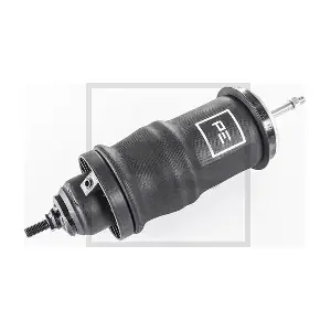 12317100A PE Automotive