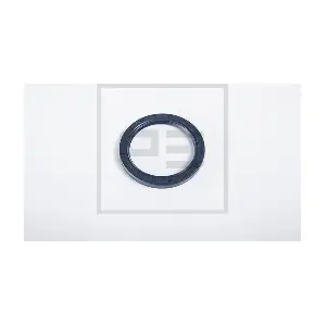 100.446-00A PE Automotive