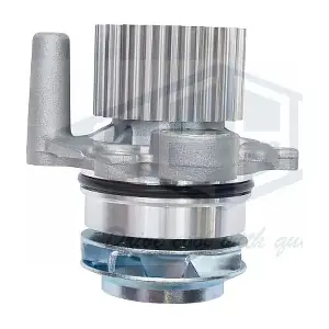 GEBA 10565