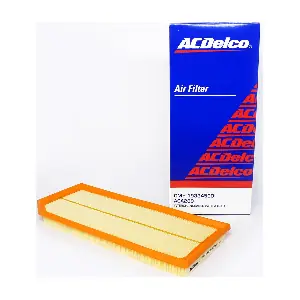 ACA289 ACDelco Oceania