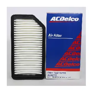 ACA273 ACDelco Oceania