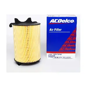 ACDelco Oceania ACA268