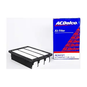ACA231 ACDelco Oceania