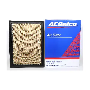 ACA361 ACDelco Oceania