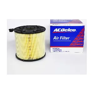 ACA424 ACDelco Oceania