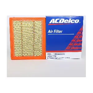 ACA173 ACDelco Oceania
