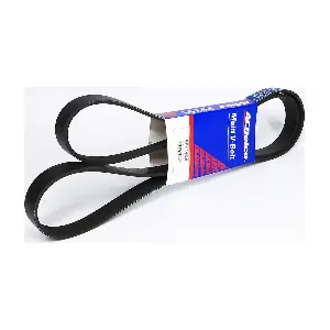 ACDelco Oceania 6PK1685