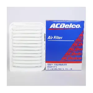 ACA171 ACDelco Oceania