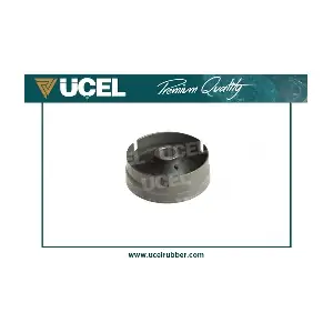 20313 UCEL